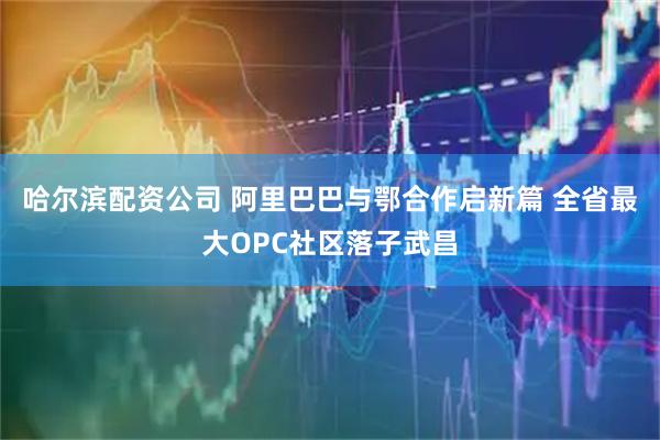 哈尔滨配资公司 阿里巴巴与鄂合作启新篇 全省最大OPC社区落子武昌